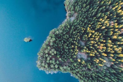 "Tunnsådd praxis" - Åsa Marklund Andersson om miljöstraffrätt