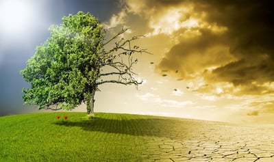 Hur uppnår vi kemisk hållbarhet?